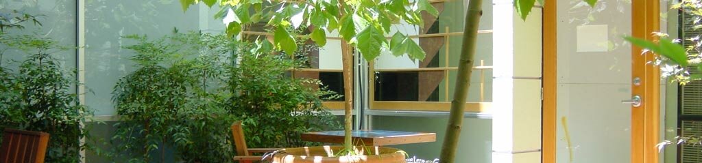Sunlit outdoor area with eating area and lush plants